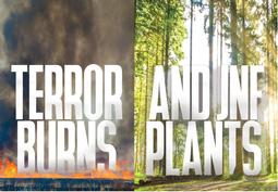 Terror Burns and JNF Plants