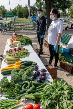 The Yazidi Healing Farm-Place Your Order of Fresh Fruits and Vegetables