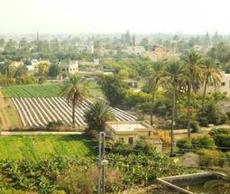 Why do Palestinians Receive More Financial Aid Per Capita Than Others?
