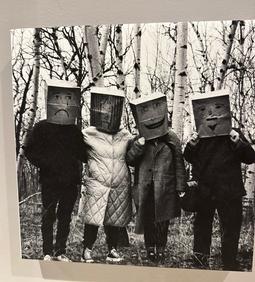 Harriet Berkal: The Dysfunctional Family