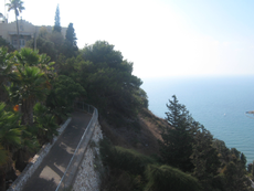 View from the Carmel