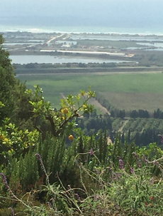a view of the coast of Israel from the hills of Zichron Ya'acov