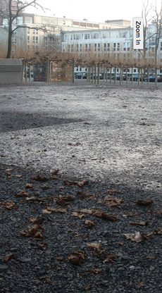 The empty space in Frankfurt's Borneplatz synagogue destroyed on Kristallnacht used to be